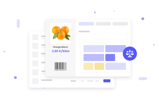 module gestion de balance connectée